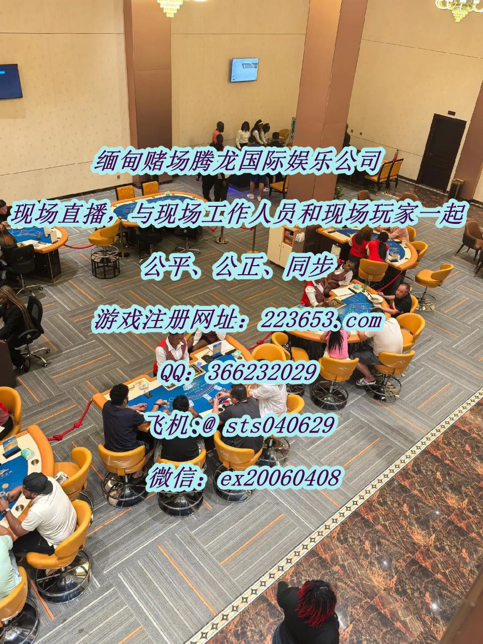 photo_2025-10-14_16-52-33 (2)_����.jpg