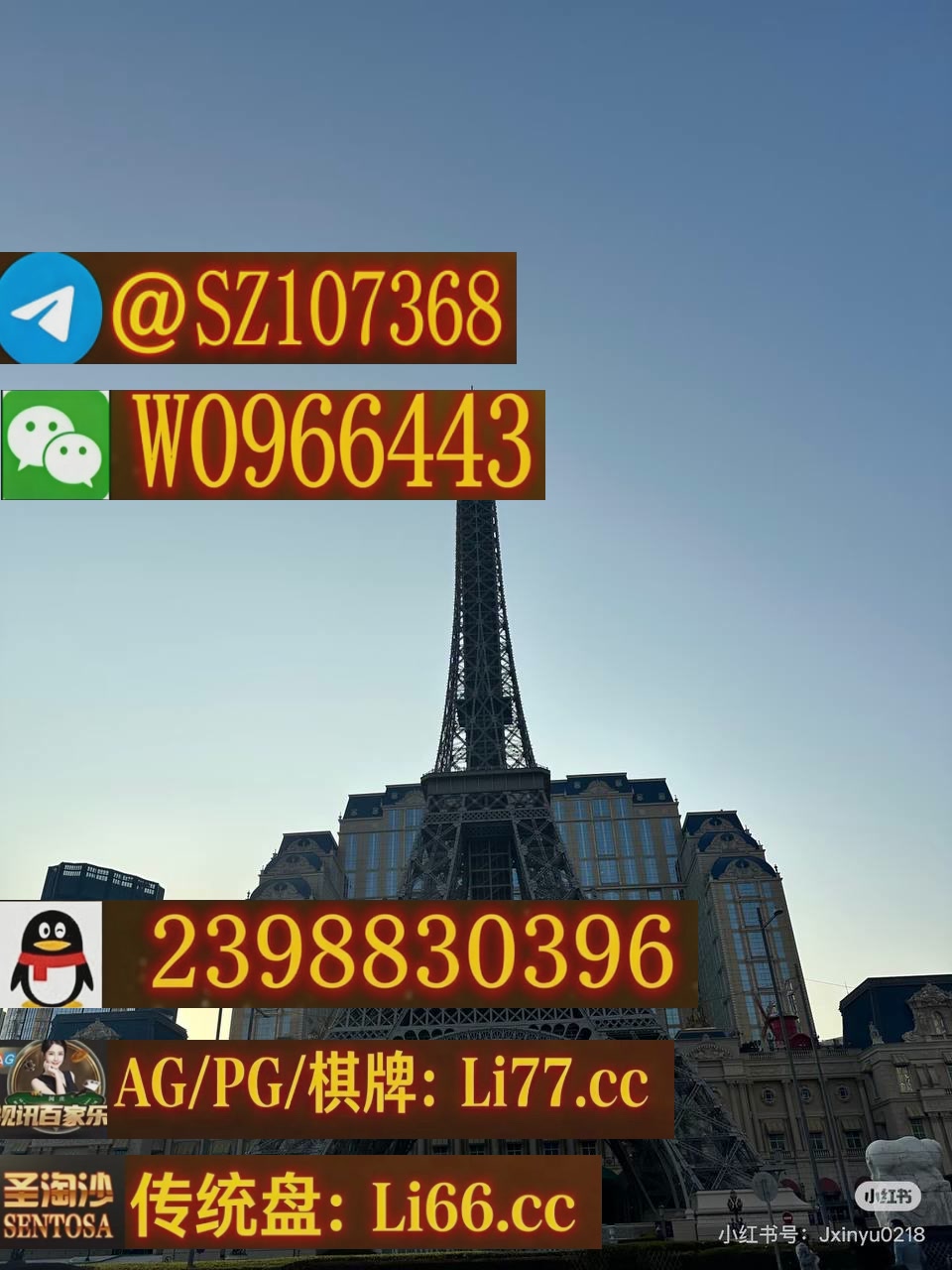 photo_2026-01-22_17-37-42 (2)_syy.jpg