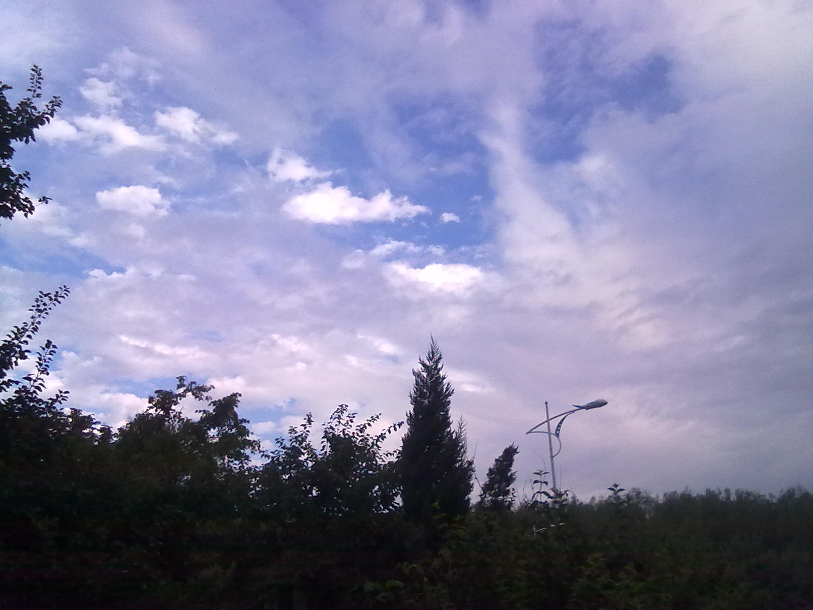 20100911395.jpg