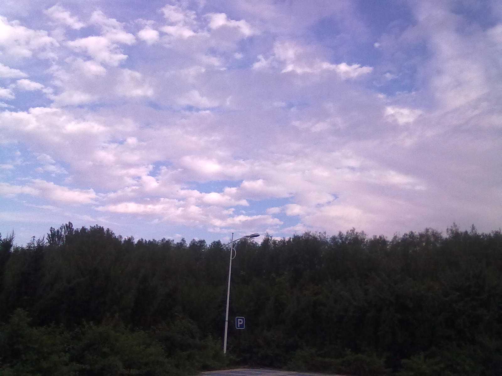 20100911394.jpg