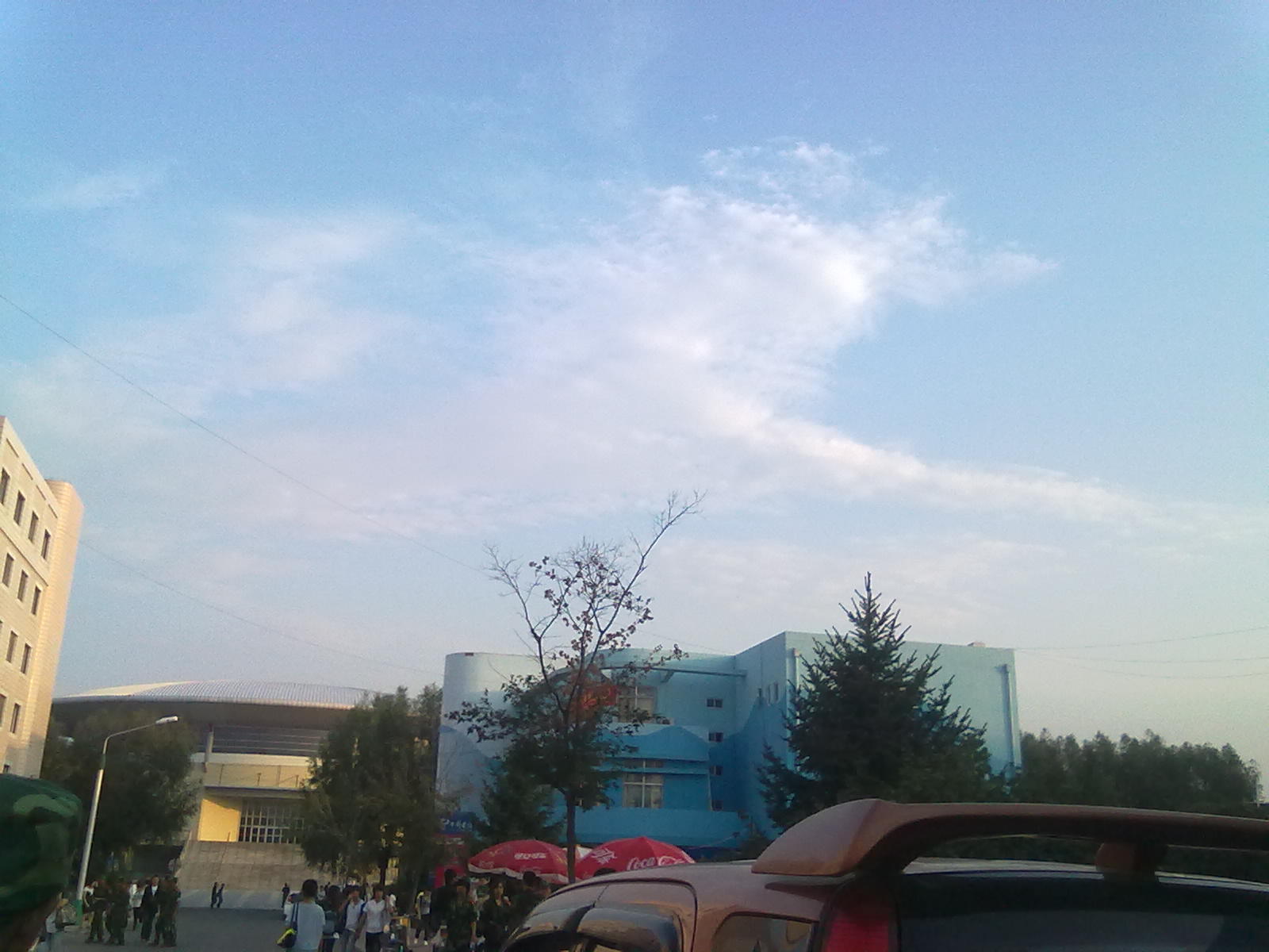 20100911398.jpg