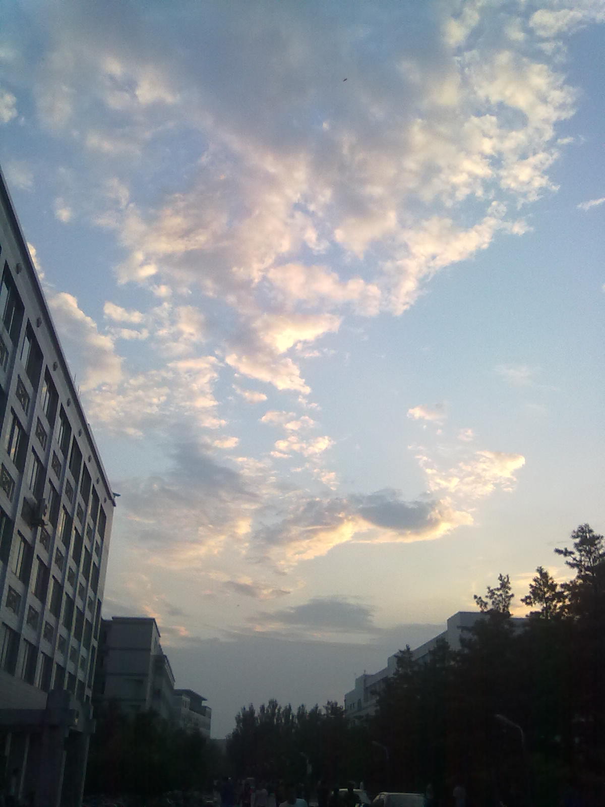 20100911401.jpg