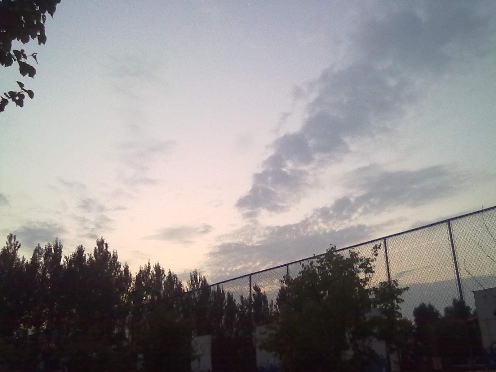 20100911406.jpg