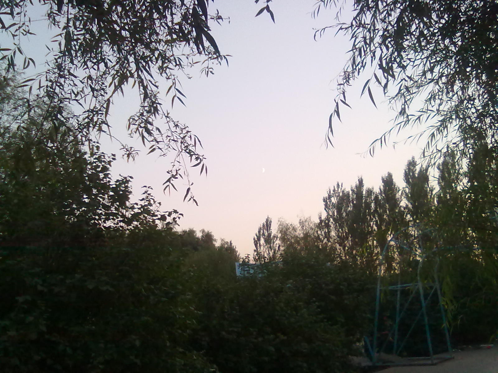 20100913420.jpg